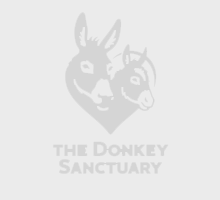 Wat is een muildier?